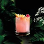 Pearsons Botanicals Rhubarb & Ginger Gin Alternative | Award-Winning Non Alcoholic Spirits | Premium Non Alcoholic Drinks by Spirits of Virtue (700ml)