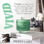 Hidden Label Scented Candles, Soy Candles for Home Gin and Tonic 2 Wicks 8.1oz Vivid Collection, Candle Set Gifts for Women Birthday Valentines Day Mothers Day Christmas